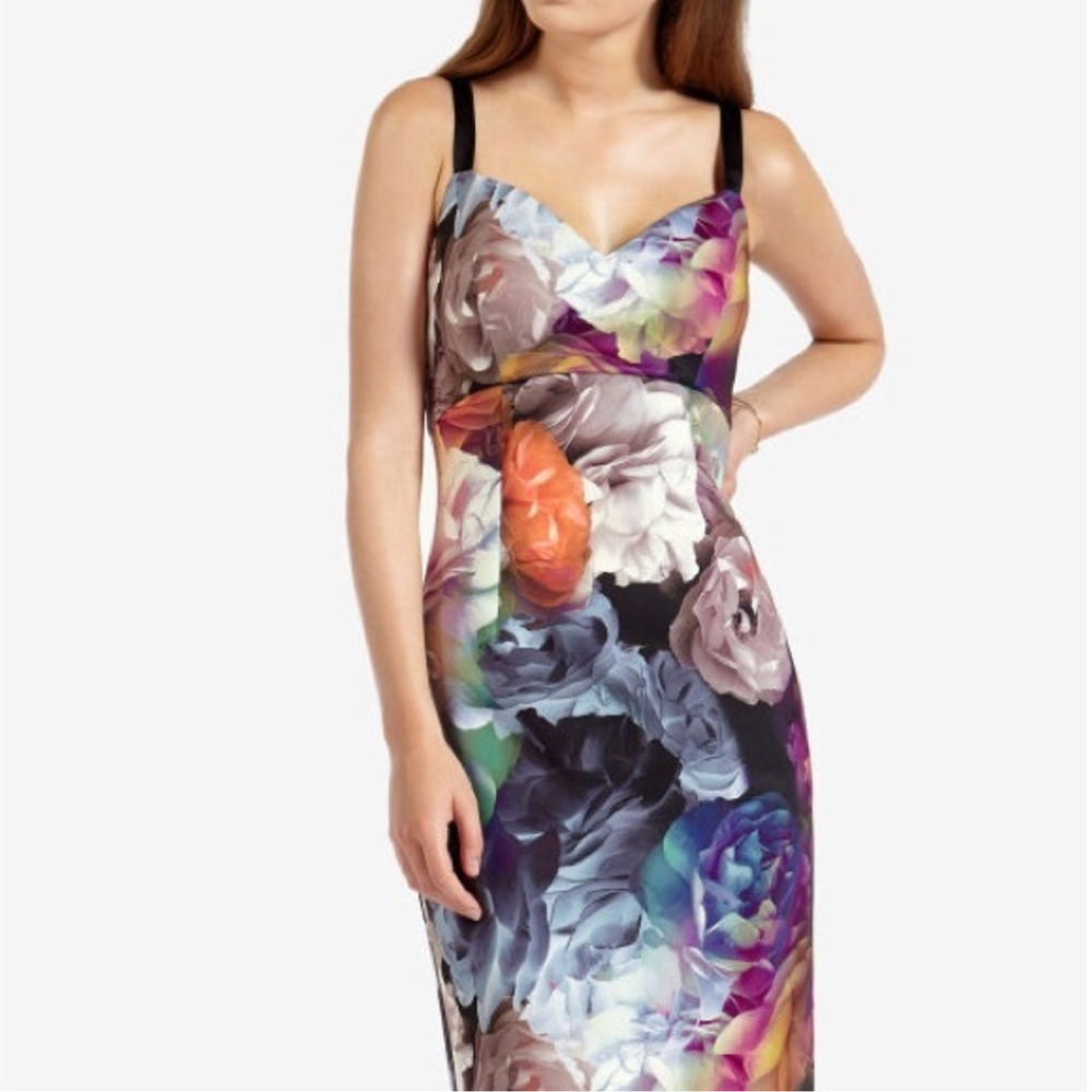 Ted Baker Etheya Sheath Dress Bloom Floral Sleeveless Bodycon US 2 (0 Ted)